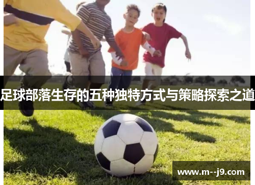 足球部落生存的五种独特方式与策略探索之道