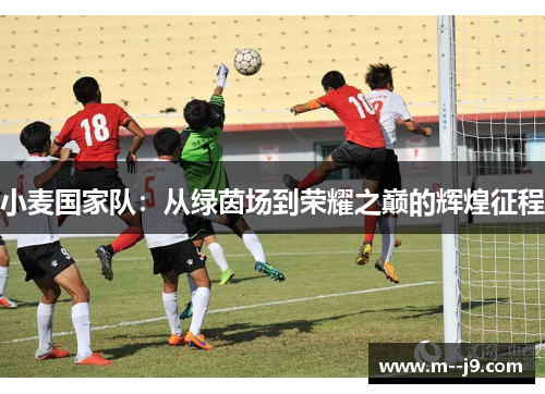 小麦国家队:从绿茵场到荣耀之巅的辉煌征程 小麦国家队:从绿茵场到荣耀之巅的辉煌征程