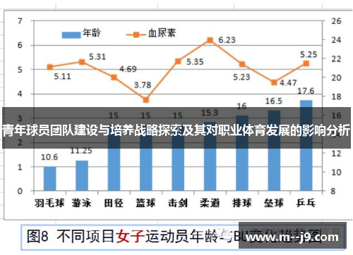 青年球员团队建设与培养战略探索及其对职业体育发展的影响分析