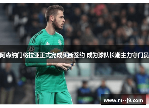 阿森纳门将拉亚正式完成买断签约 成为球队长期主力守门员 阿森纳门将拉亚正式完成买断签约 成为球队长期主力守门员